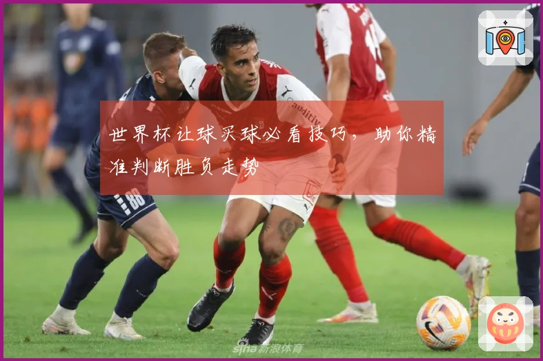世界杯让球买球必看技巧，助你精准判断胜负走势