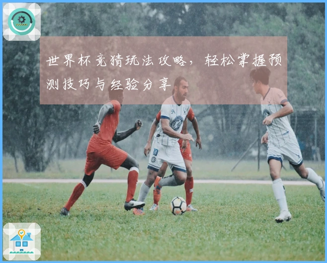 世界杯竞猜玩法攻略，轻松掌握预测技巧与经验分享