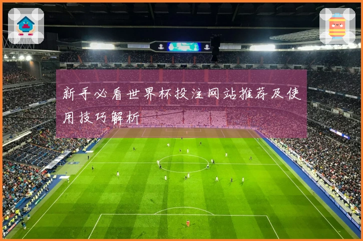 新手必看世界杯投注网站推荐及使用技巧解析