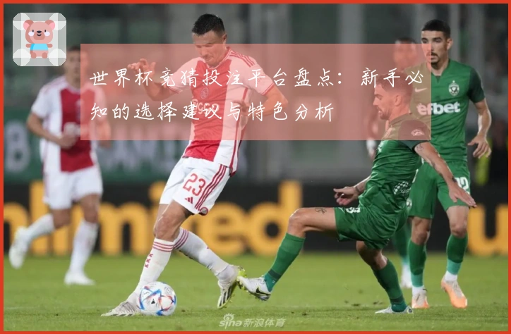 世界杯竞猜投注平台盘点：新手必知的选择建议与特色分析