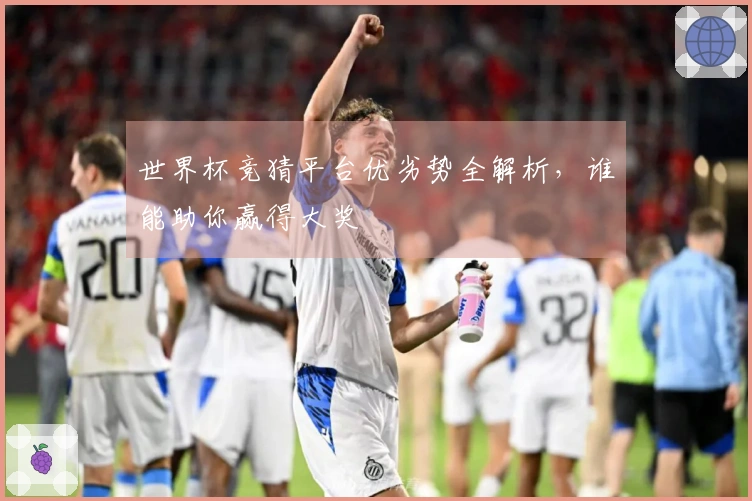 世界杯竞猜平台优劣势全解析，谁能助你赢得大奖