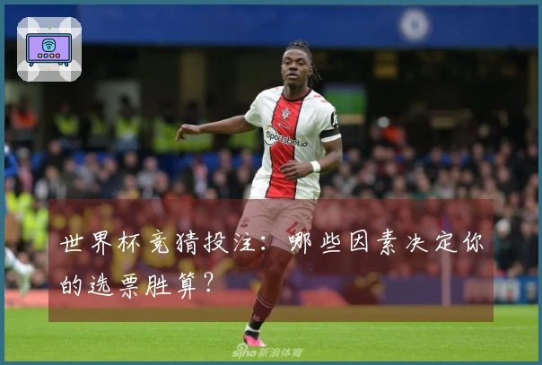 世界杯竞猜投注：哪些因素决定你的选票胜算？