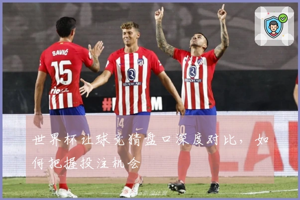 世界杯让球竞猜盘口深度对比，如何把握投注机会