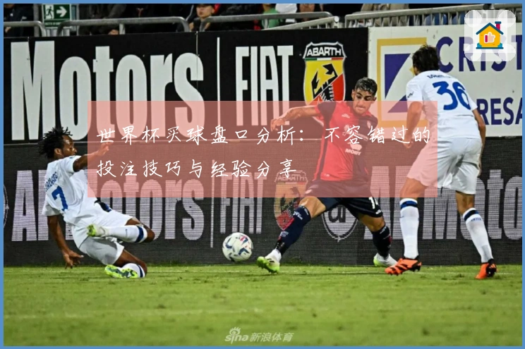 世界杯买球盘口分析：不容错过的投注技巧与经验分享