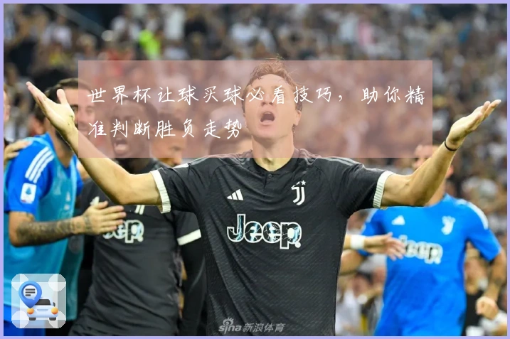 世界杯让球买球必看技巧，助你精准判断胜负走势