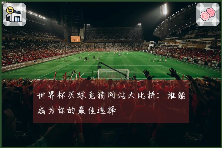 世界杯买球竞猜网站大比拼：谁能成为你的最佳选择